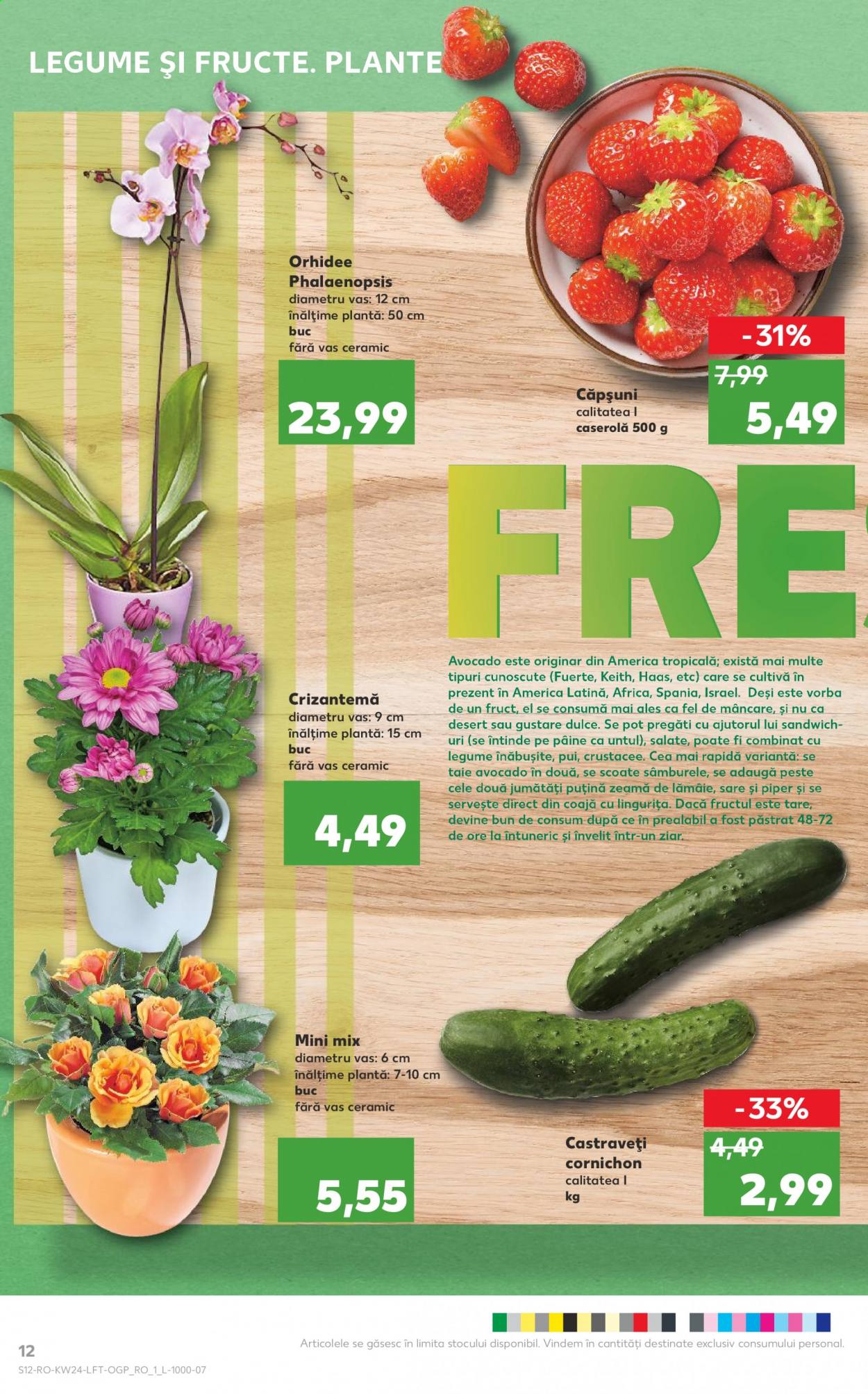 Catalog Kaufland - 16.06.2021 - 22.06.2021. Pagina 12