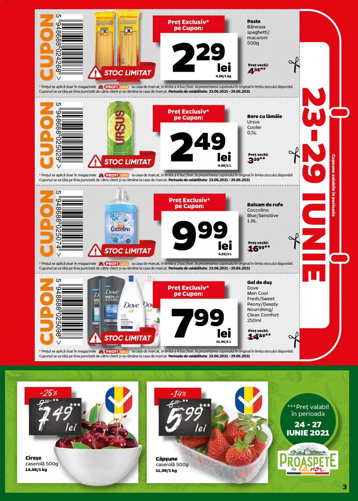 Catalog Profi Loco - 16.06.2021 - 29.06.2021. Pagina 3