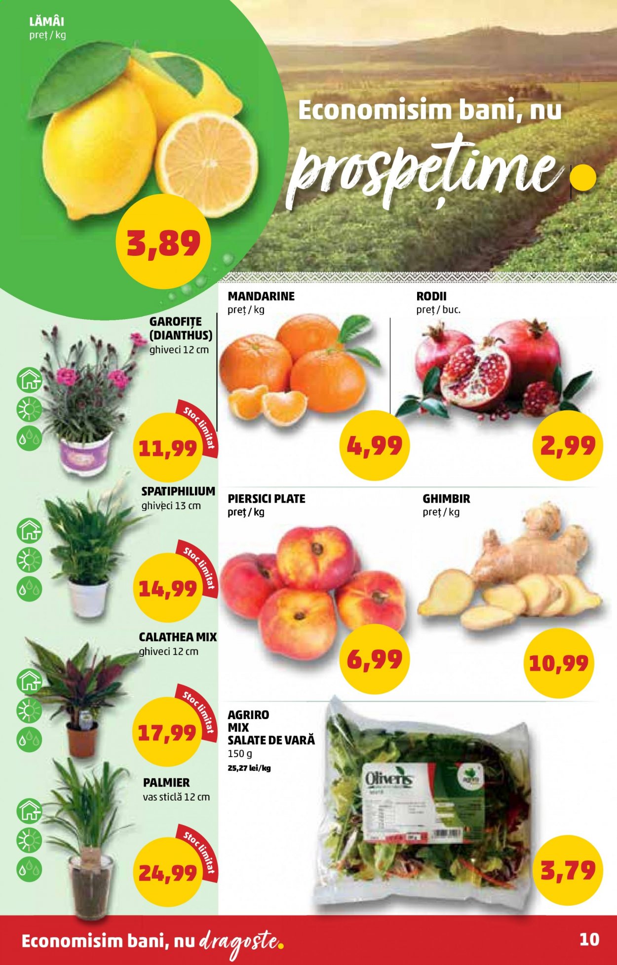 Catalog PENNY - 23.06.2021 - 29.06.2021. Pagina 10