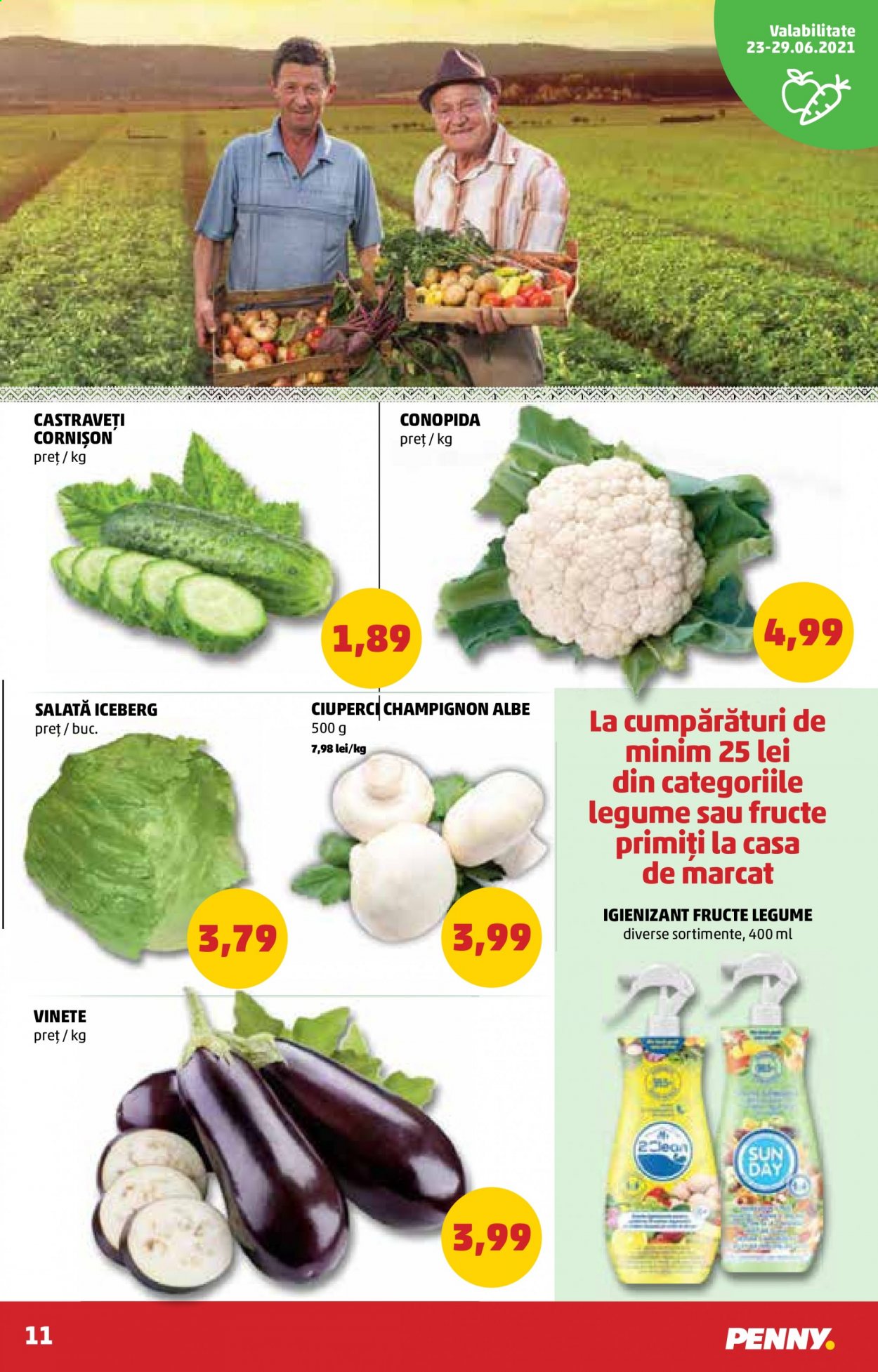 Catalog PENNY - 23.06.2021 - 29.06.2021. Pagina 11
