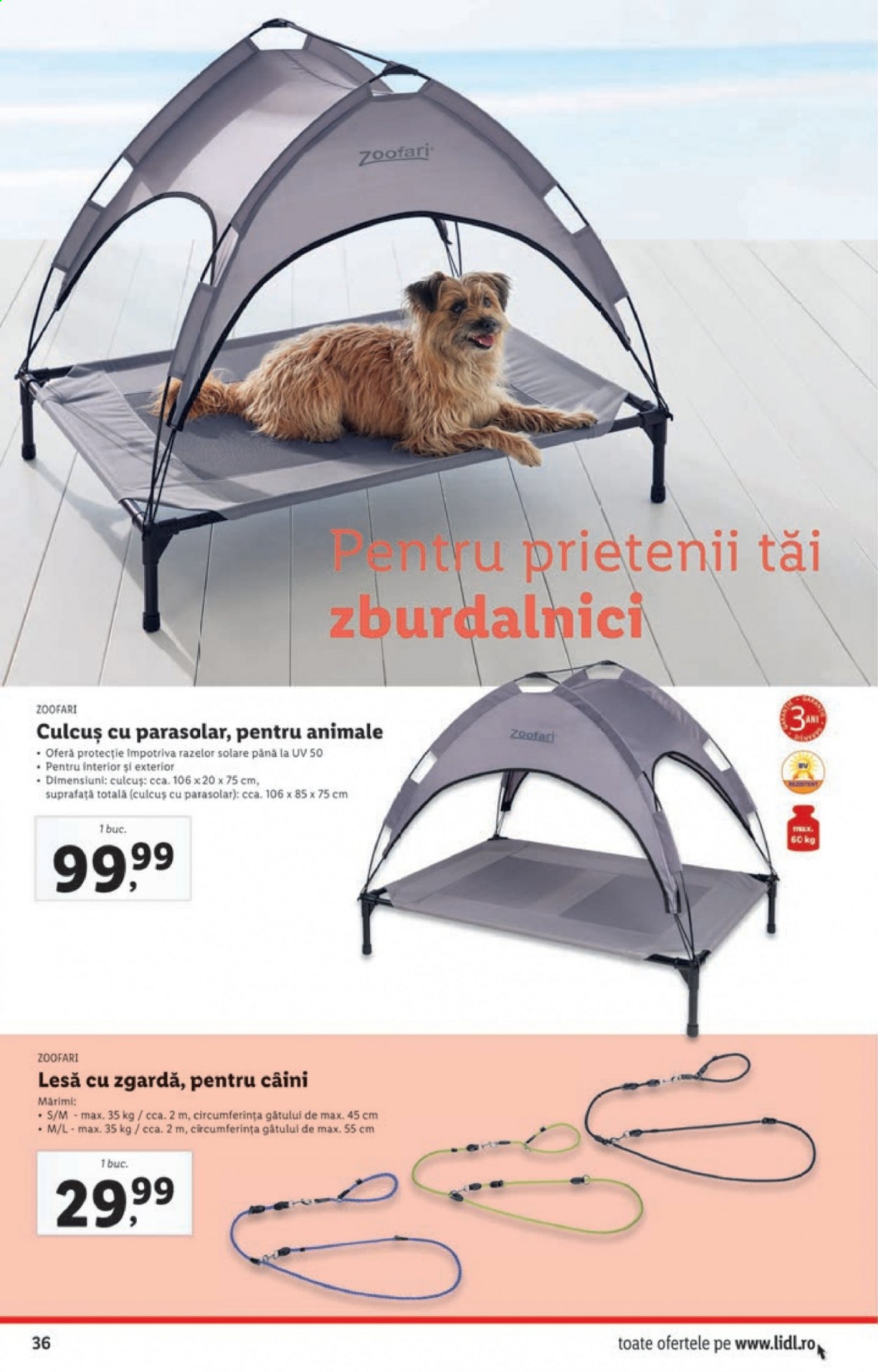 Catalog Lidl - 28.06.2021 - 04.07.2021. Pagina 36