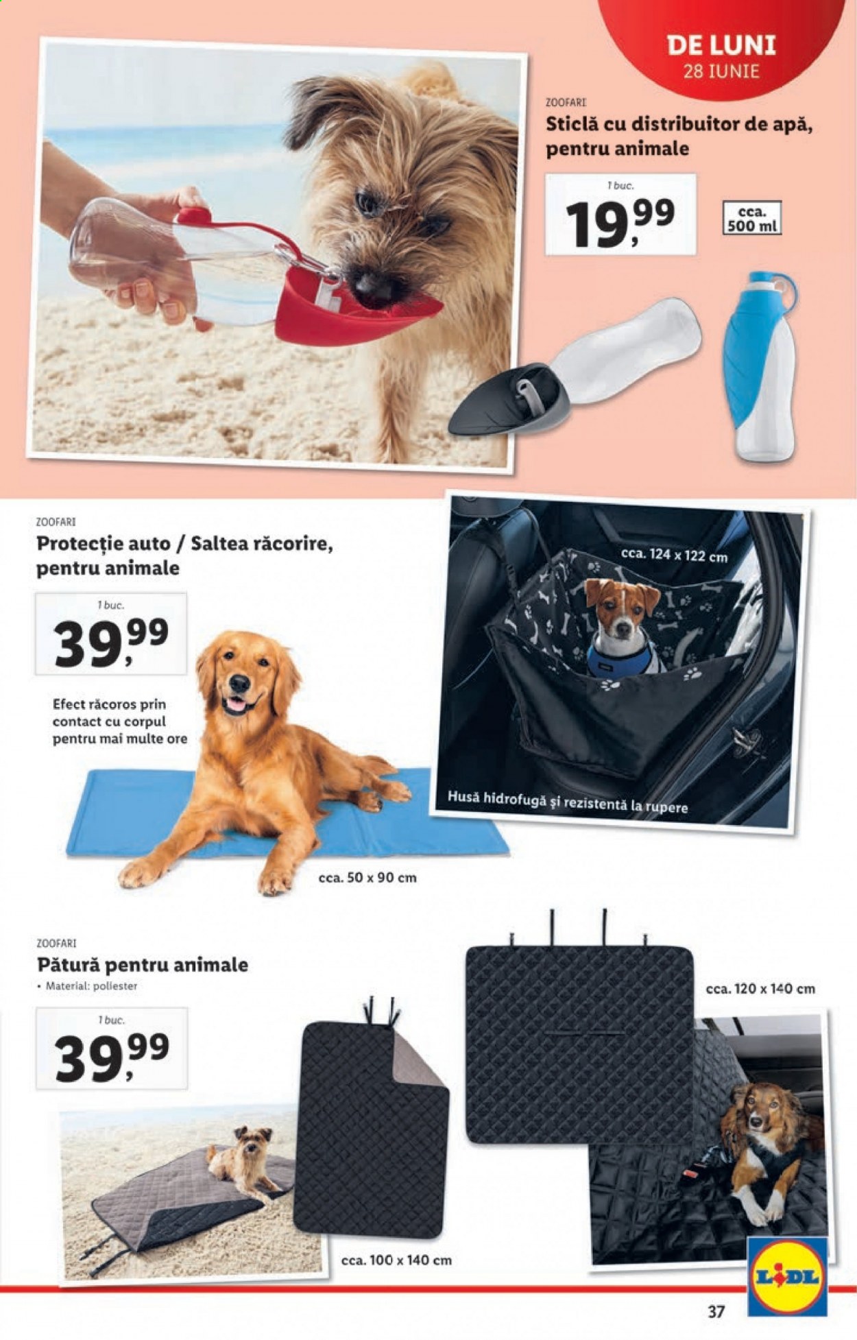 Catalog Lidl - 28.06.2021 - 04.07.2021. Pagina 37