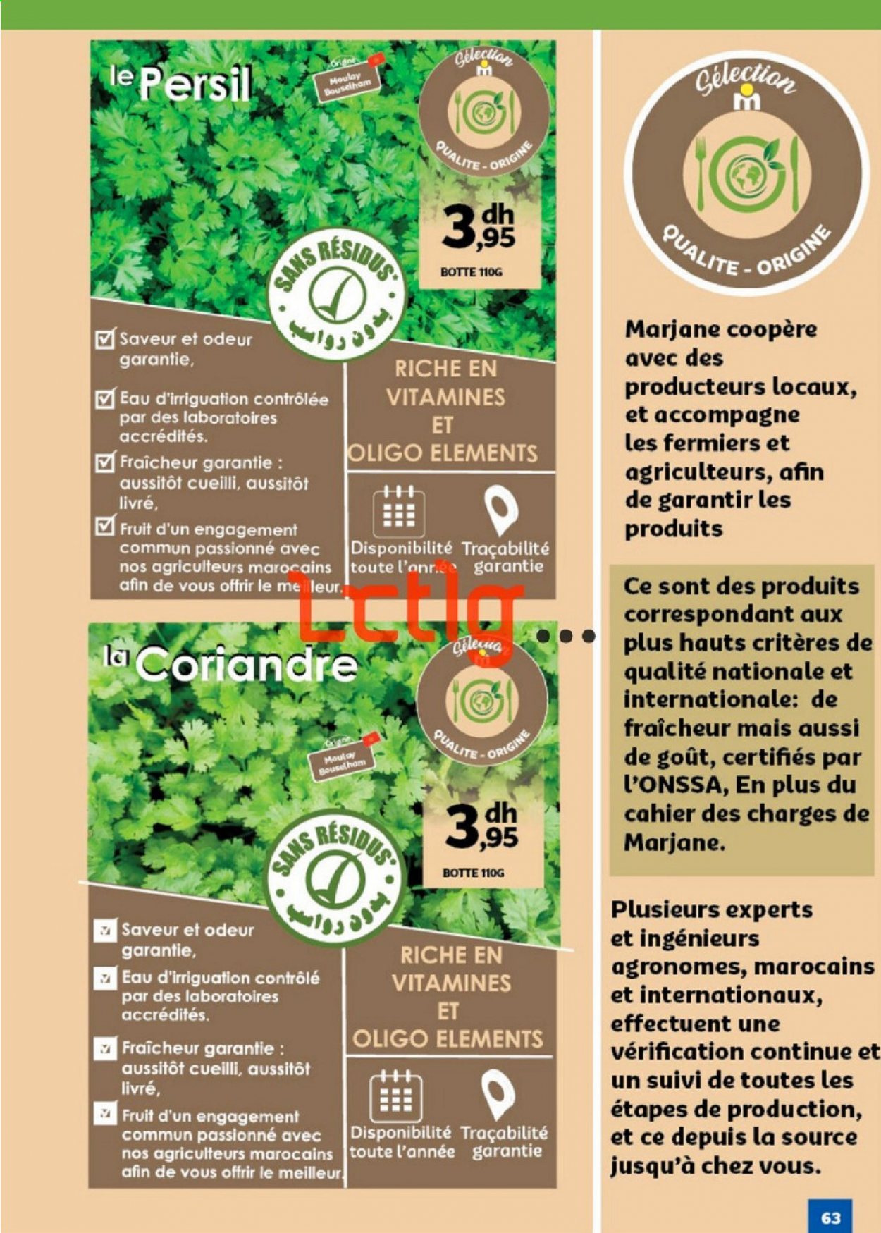 Catalogue Marjane - 20/02/2021 - 09/03/2021. Page 63