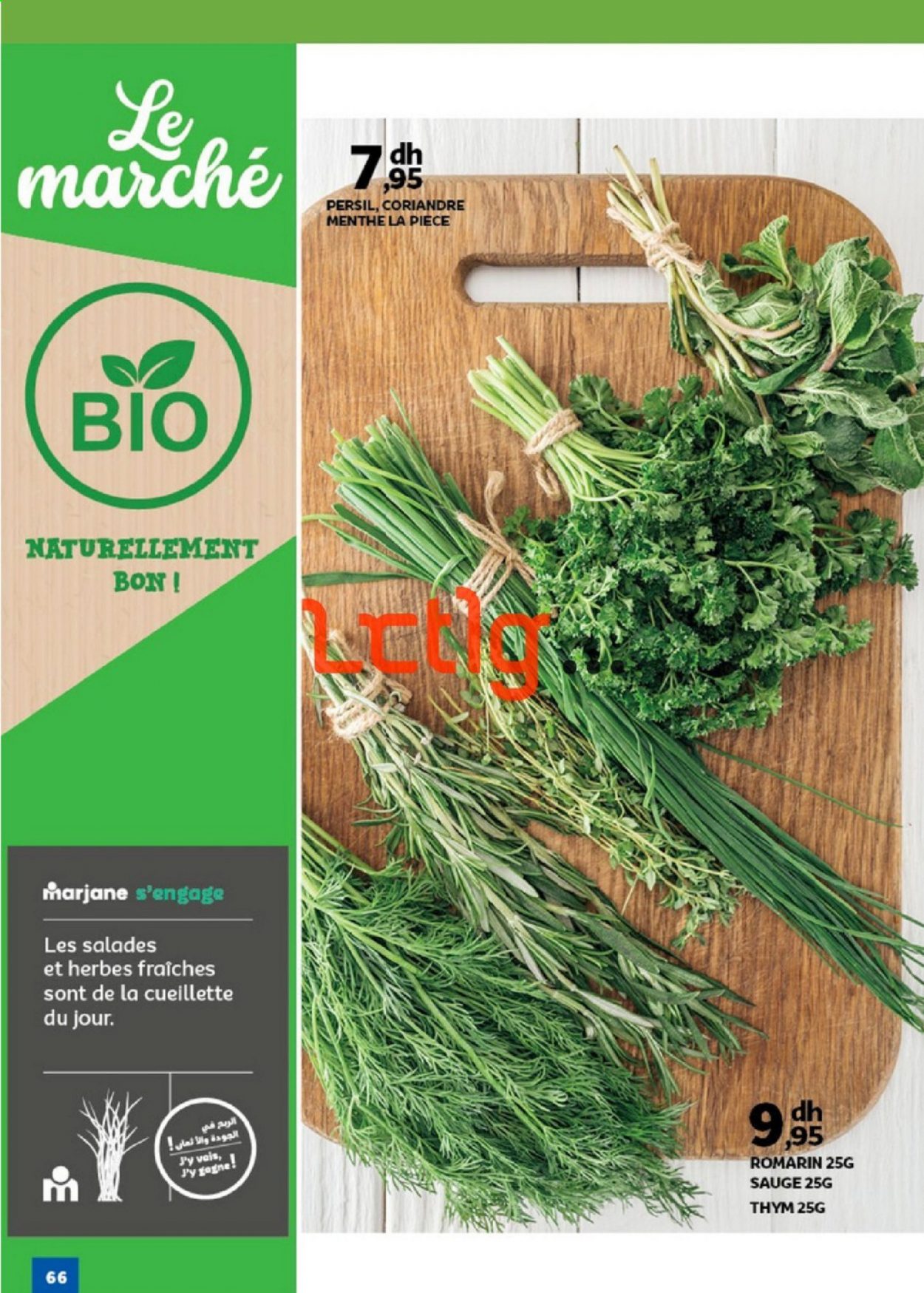 Catalogue Marjane - 20/02/2021 - 09/03/2021. Page 66