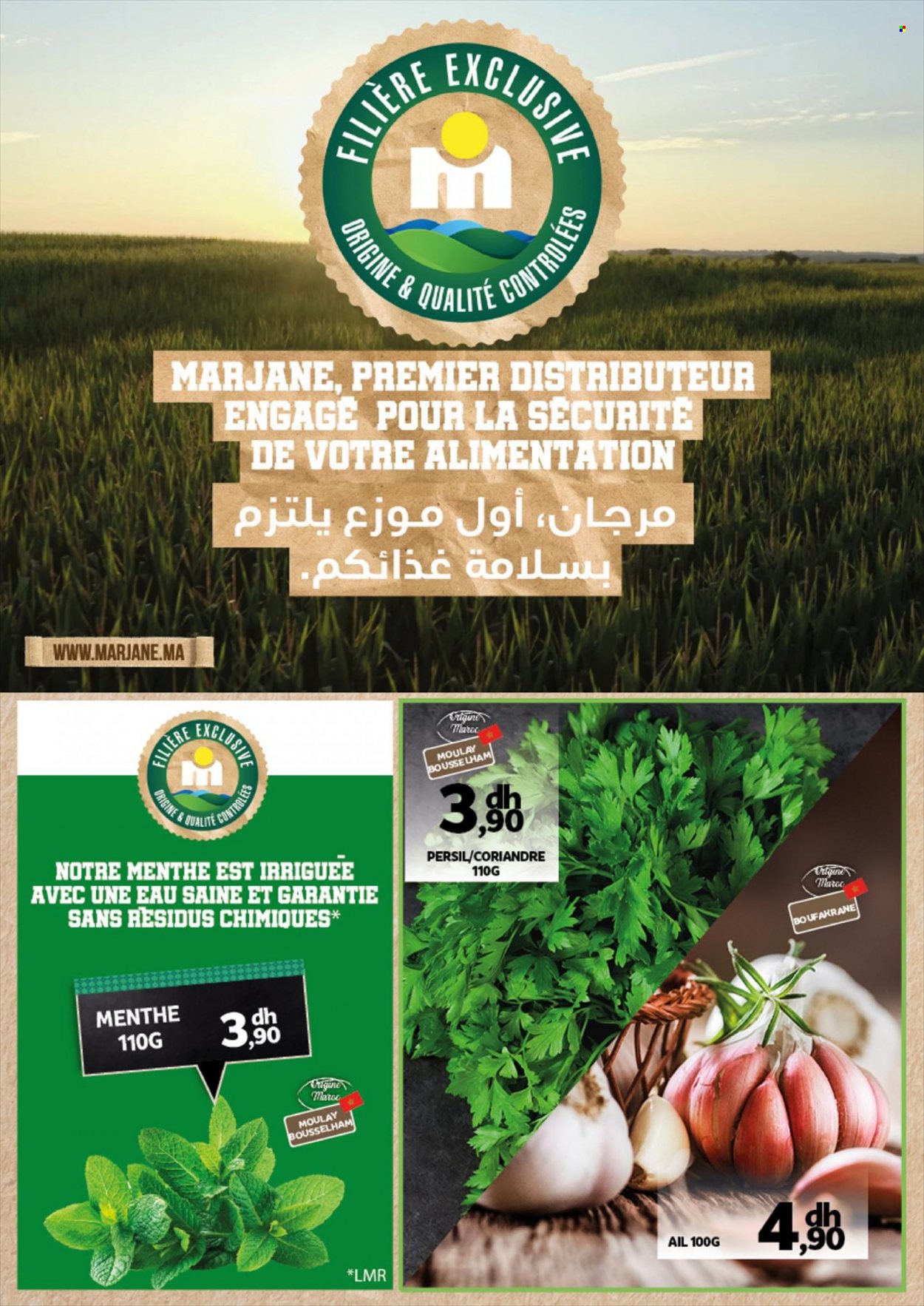Catalogue Marjane - 25/11/2021 - 12/12/2021. Page 48