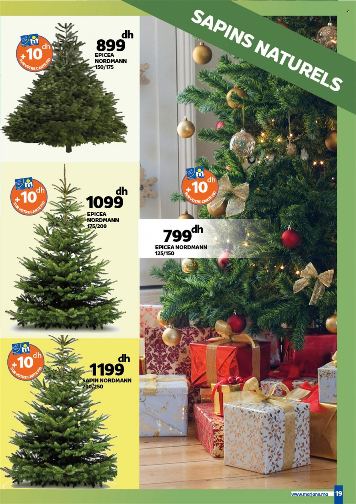 Catalogue Marjane - 17/12/2021 - 31/12/2021. Page 19