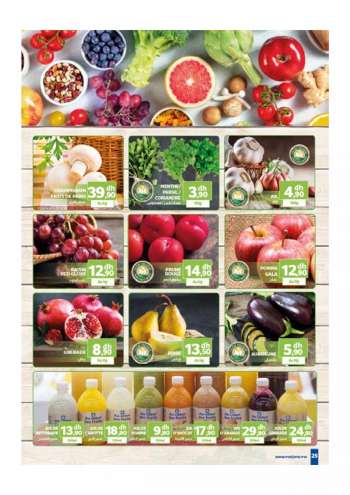 Catalogue {store}