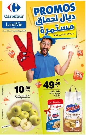 Catalogue Carrefour - 03/11/2022 - 16/11/2022.