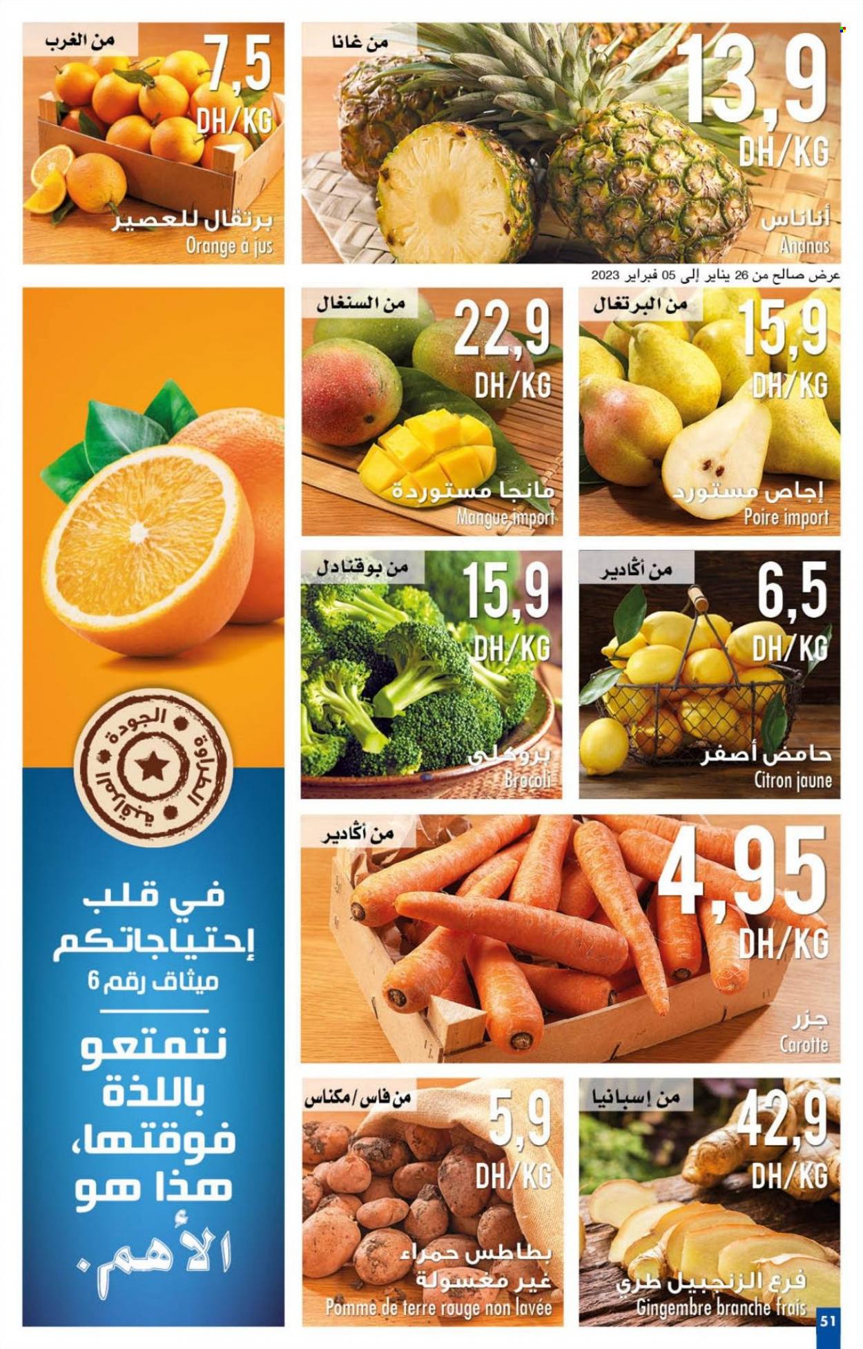 Catalogue Carrefour - 26/01/2023 - 15/02/2023. Page 51