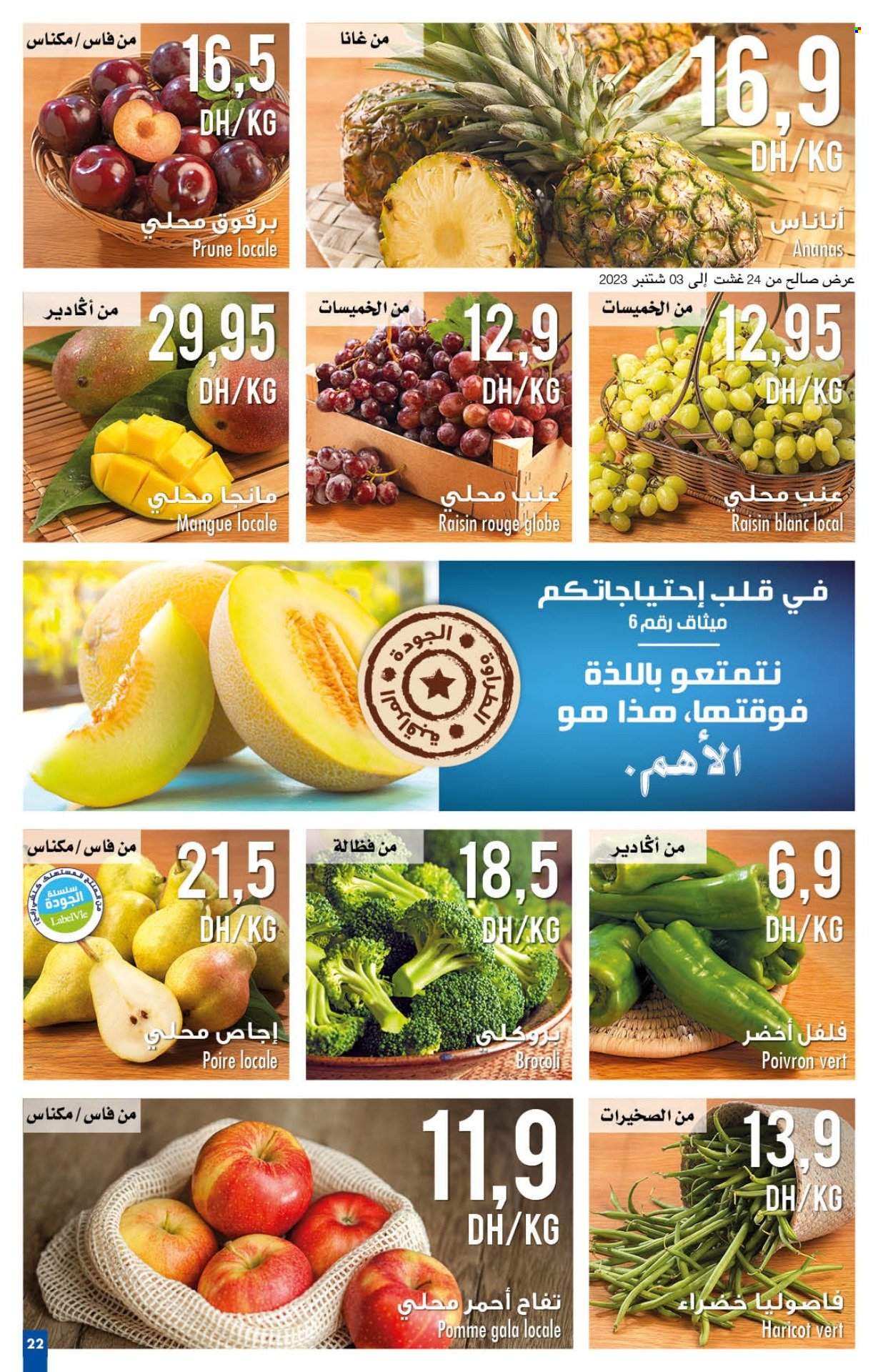 Catalogue Carrefour - 24/08/2023 - 13/09/2023. Page 22