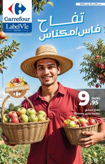Catalogue Carrefour - 07/11/2024 - 12/11/2024.