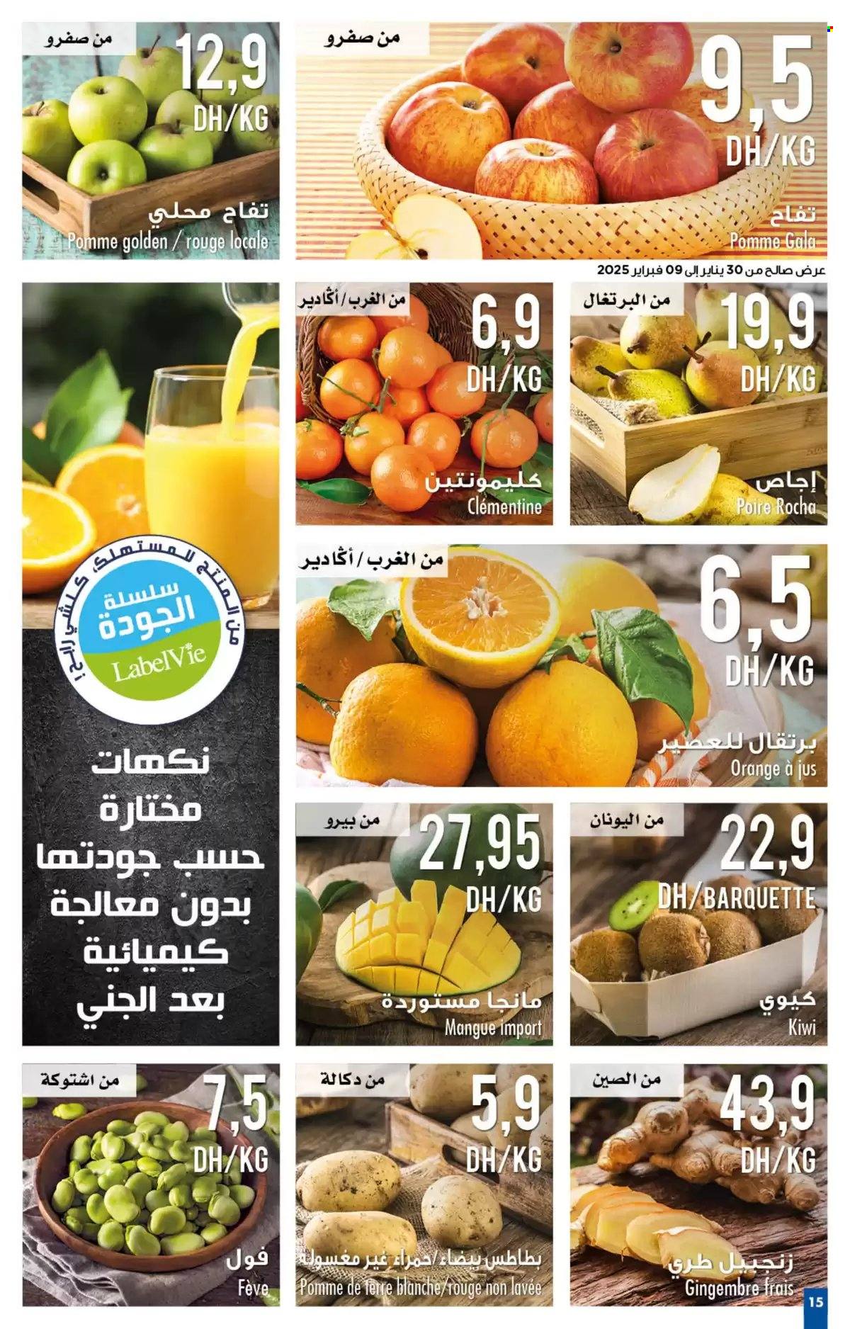 Catalogue Carrefour - 30/01/2025 - 19/02/2025. Page 15