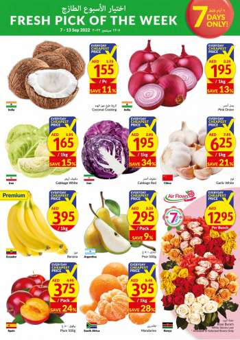 VIVA Supermarket offer  - 07/09/2022 - 13/09/2022.
