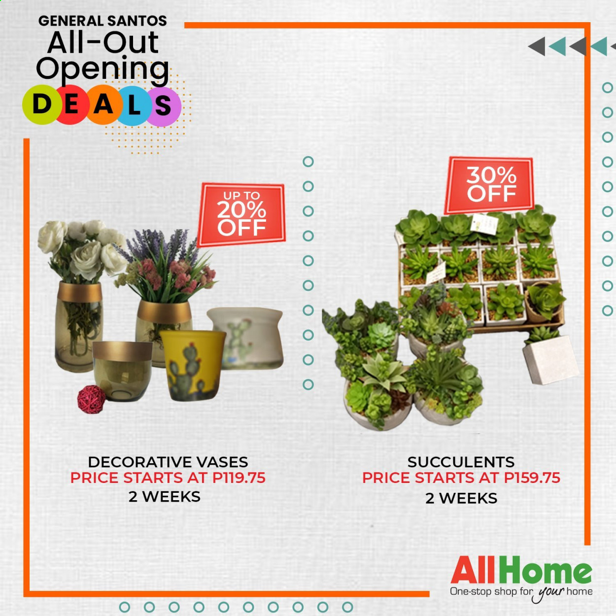 thumbnail - AllHome offer  - 30.1.2021 - 28.2.2021 - Sales products - vase, succulent. Page 17.