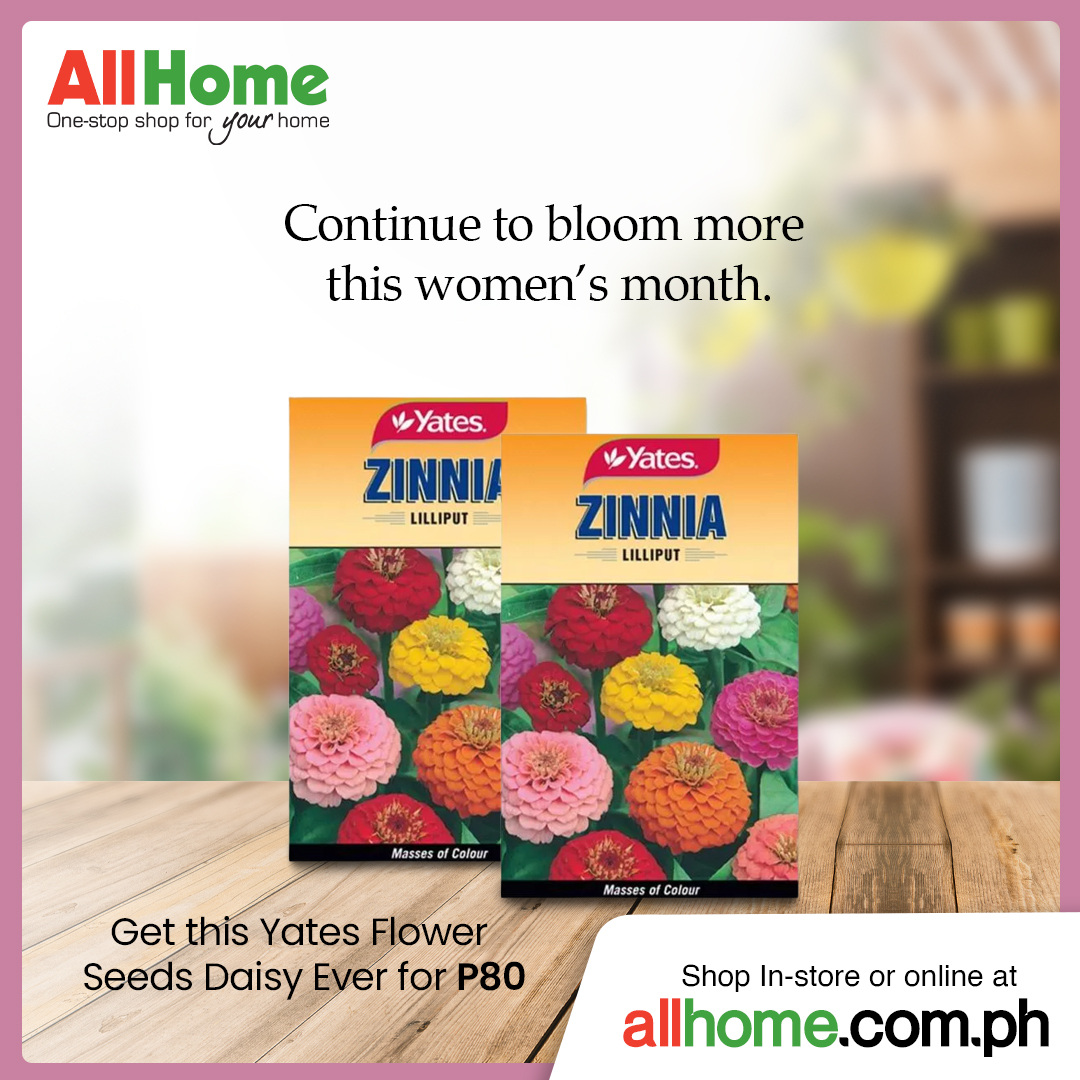 thumbnail - AllHome offer  - Sales products - Yates, zinnia. Page 7.