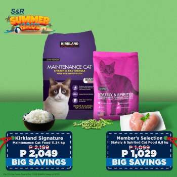 {store} promo