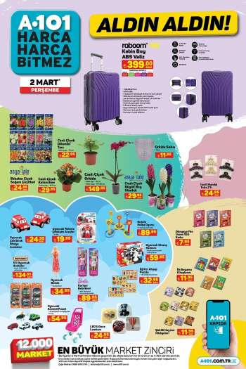 {store} katalog