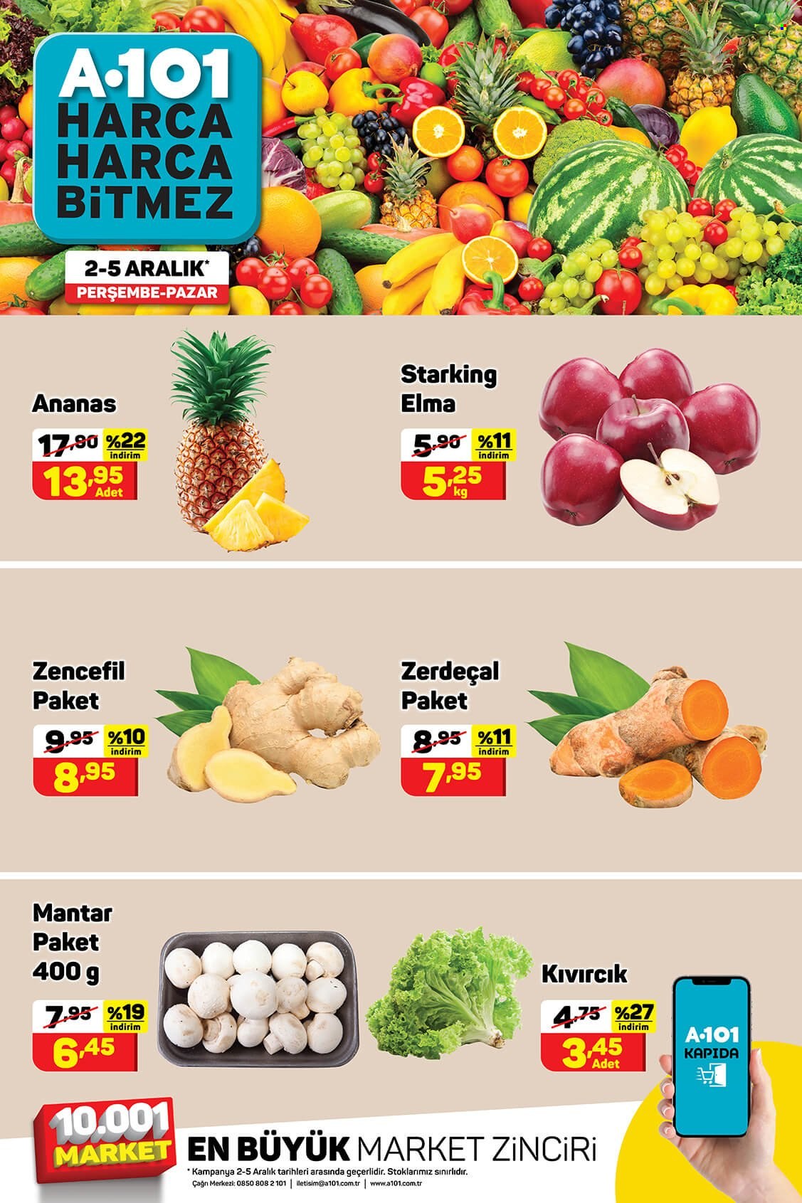 thumbnail - A101 aktüel ürünler, broşür  - 12.4.2021 - 12.10.2021 - Satıştaki ürünler - ananas, elma, zencefil, zerdeçal. Sayfa 3.
