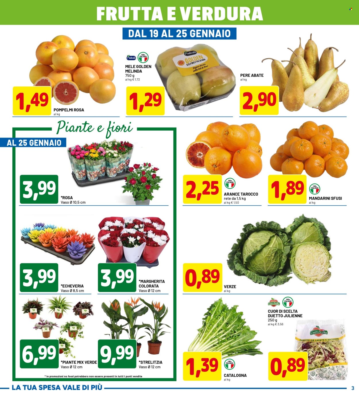 Volantino Dpiù - 12/1/2026 - 25/1/2026. Pagina 3