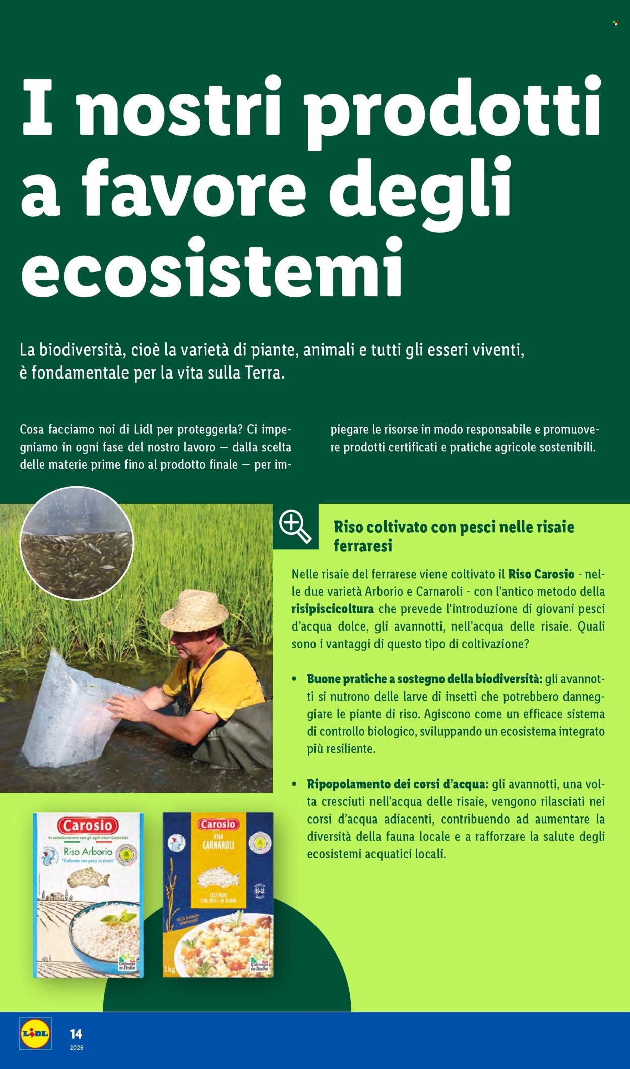Leták Lidl. Strana 14