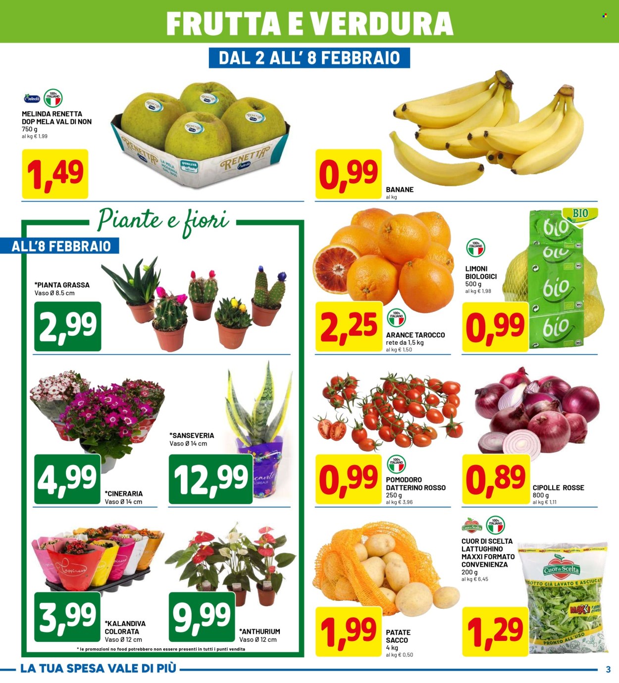Volantino Dpiù - 26/1/2026 - 8/2/2026. Pagina 3