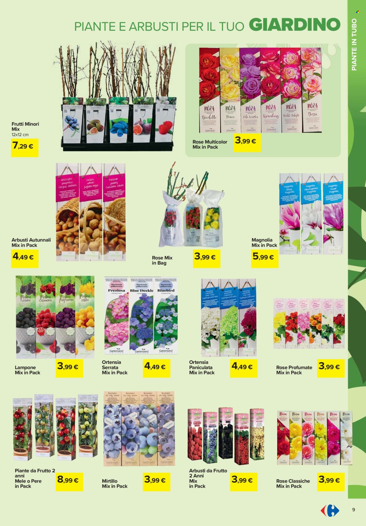 Volantino Carrefour - 19/2/2026 - 6/4/2026. Pagina 9