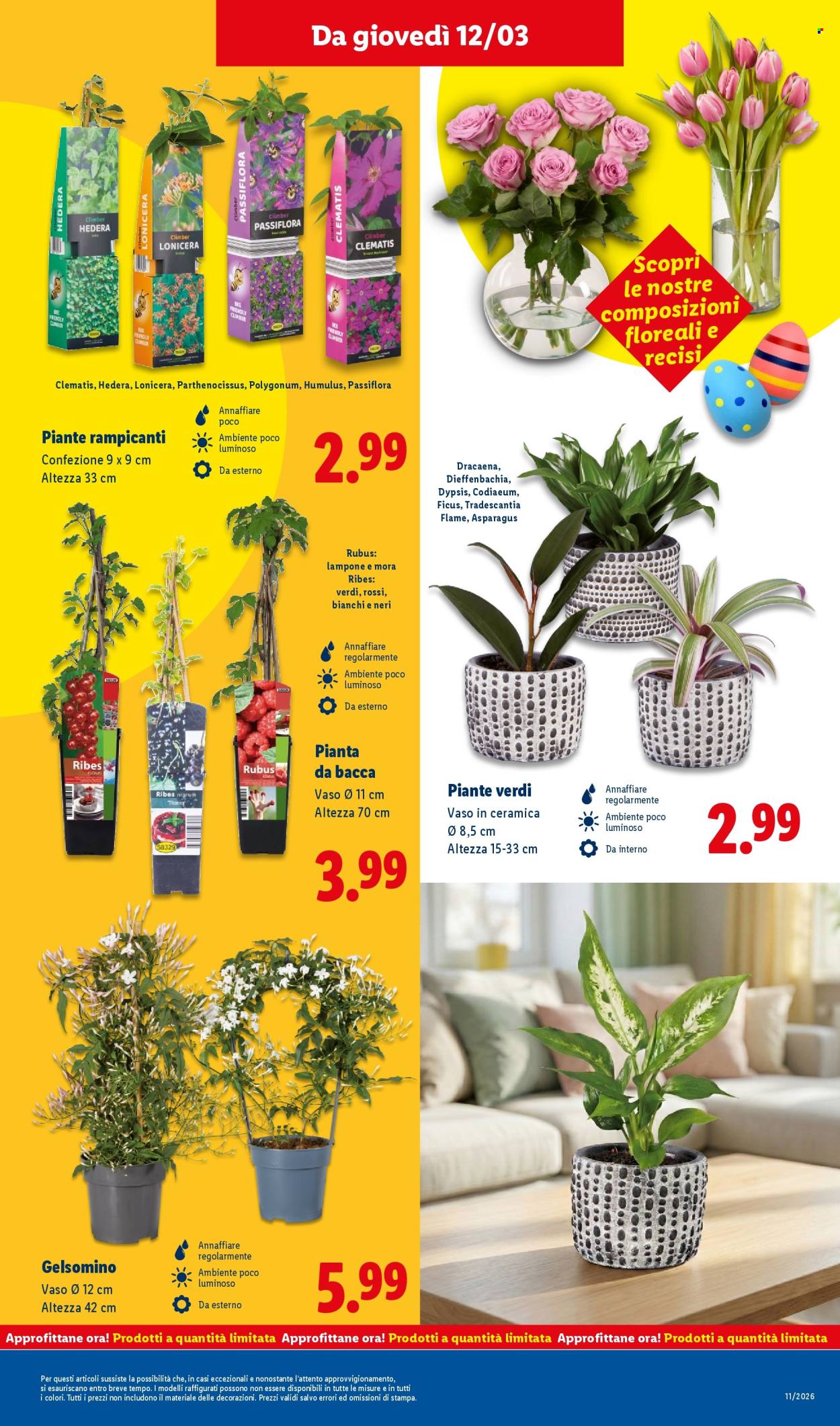 Volantino Lidl - 9/3/2026 - 15/3/2026. Pagina 37