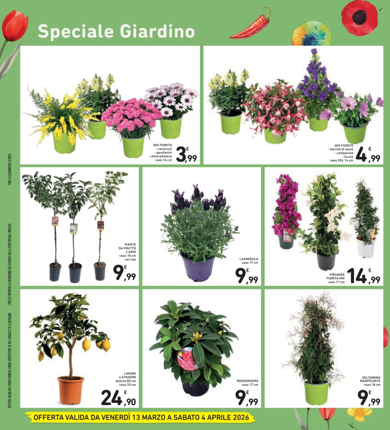 Volantino Conad Superstore - 13/3/2026 - 4/4/2026. Pagina 3