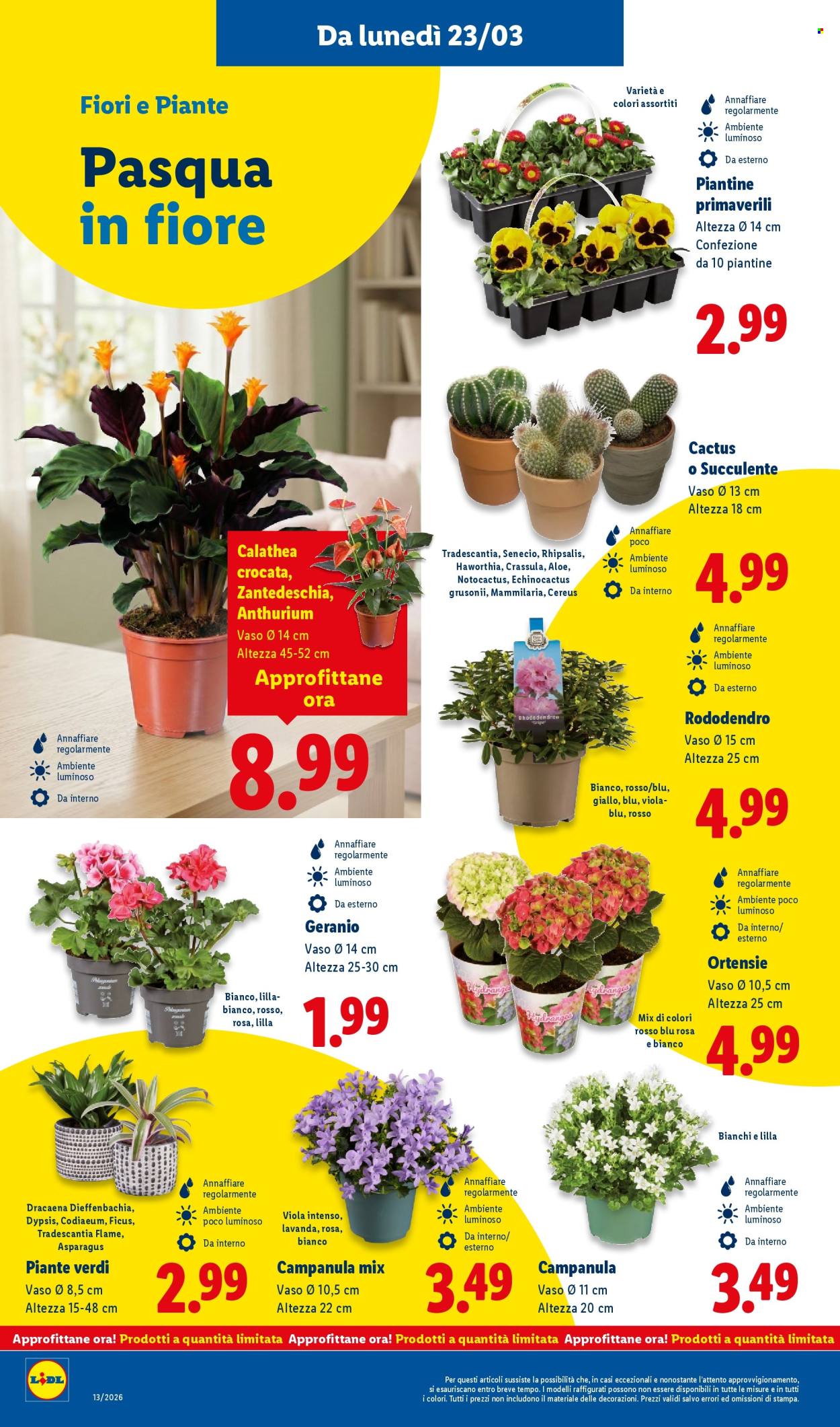 Volantino Lidl - 23/3/2026 - 29/3/2026. Pagina 34