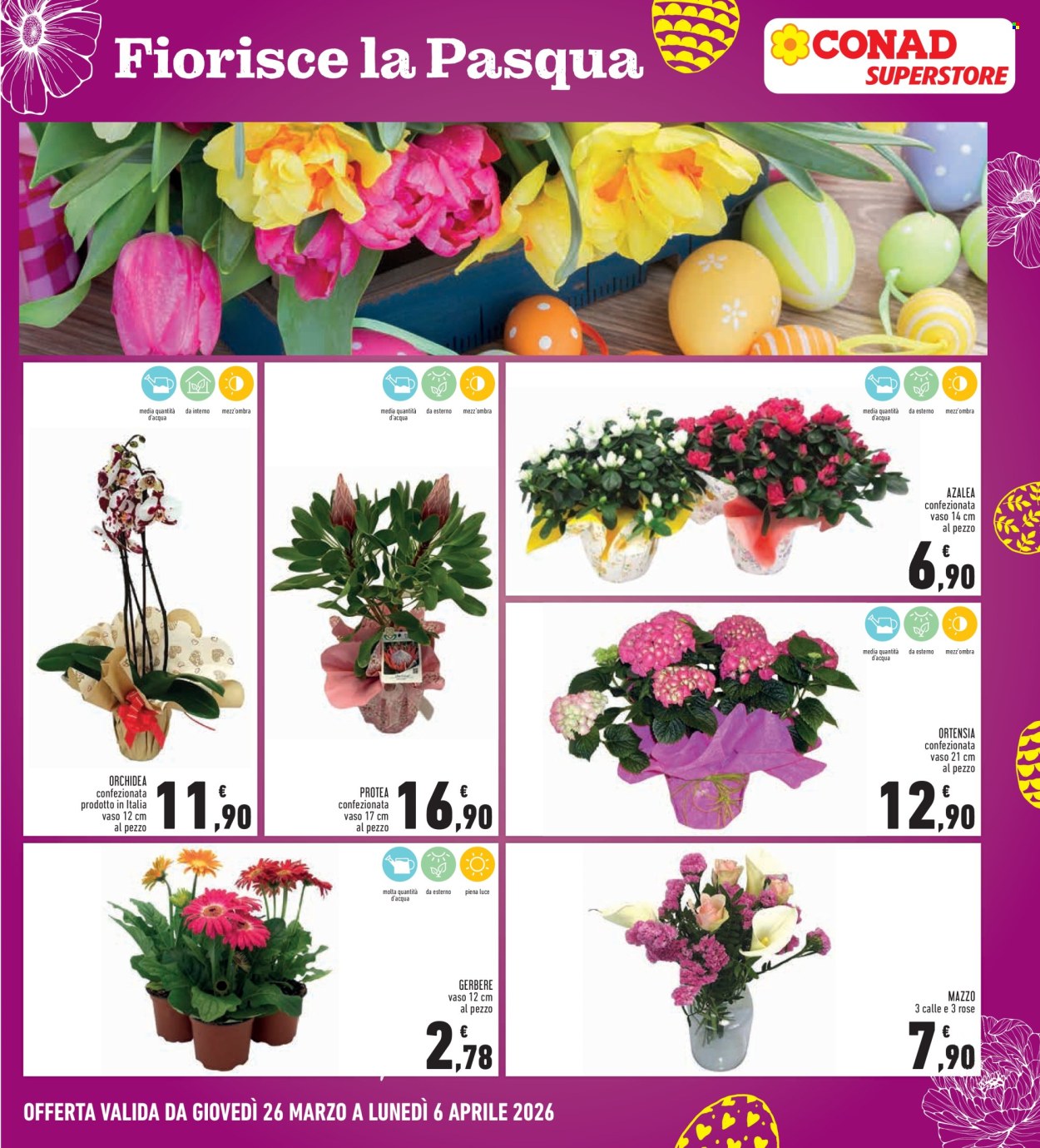 Volantino Conad Superstore - 26/3/2026 - 6/4/2026. Pagina 33