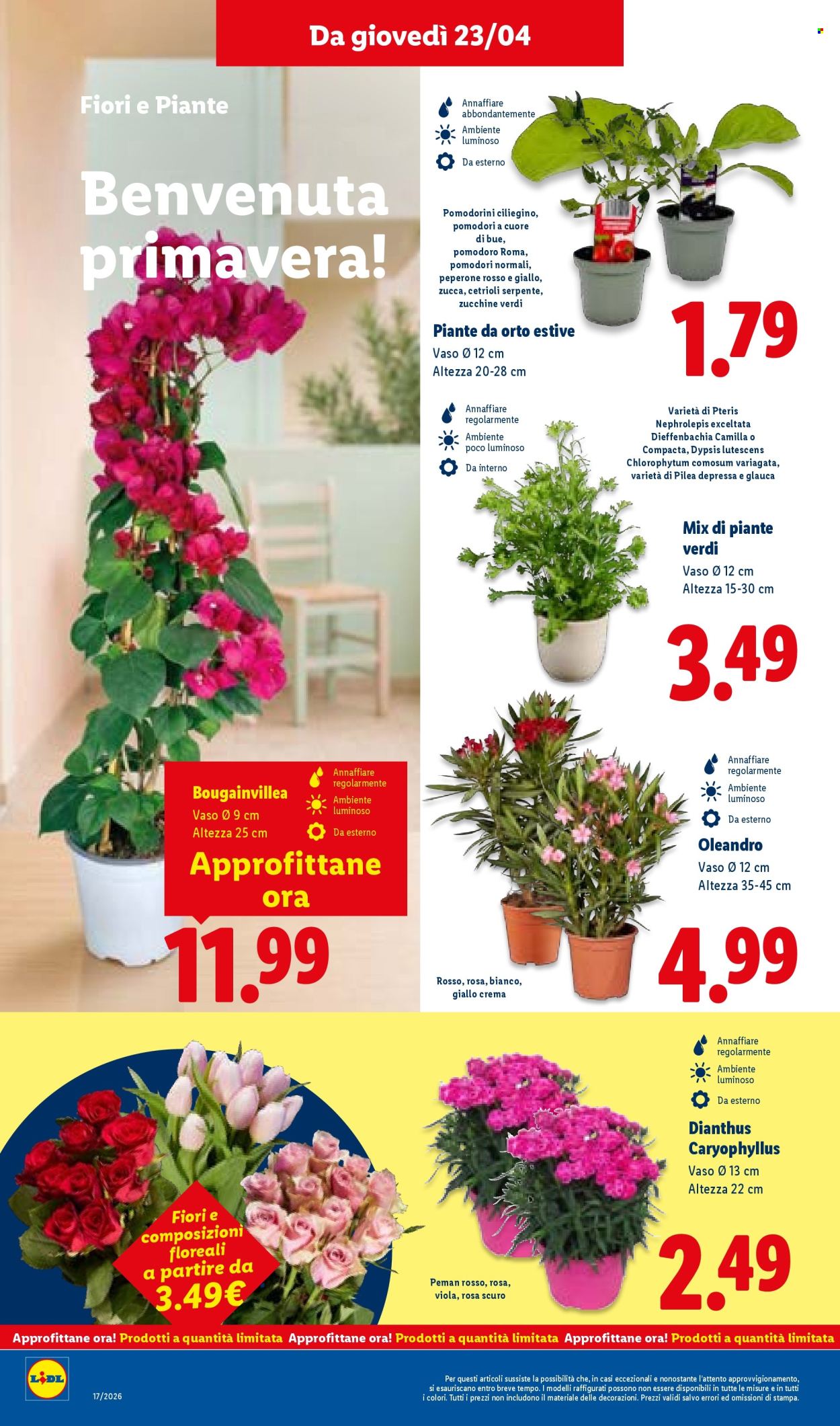 Volantino Lidl - 23/4/2026 - 29/4/2026. Pagina 40