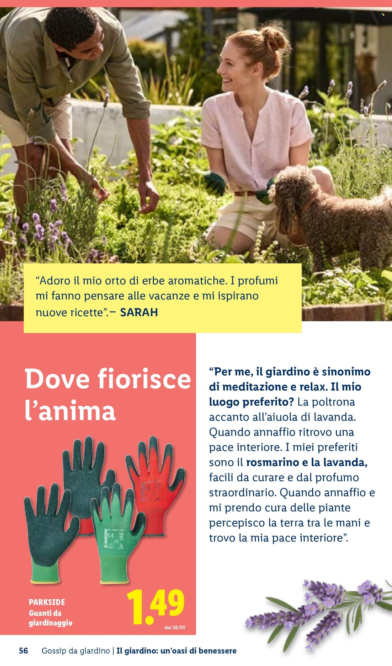 Volantino Lidl. Pagina 56