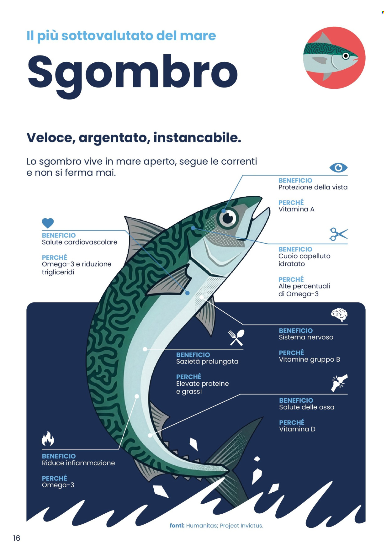 Volantino Eurospar - 20/4/2026 - 31/5/2026. Pagina 16