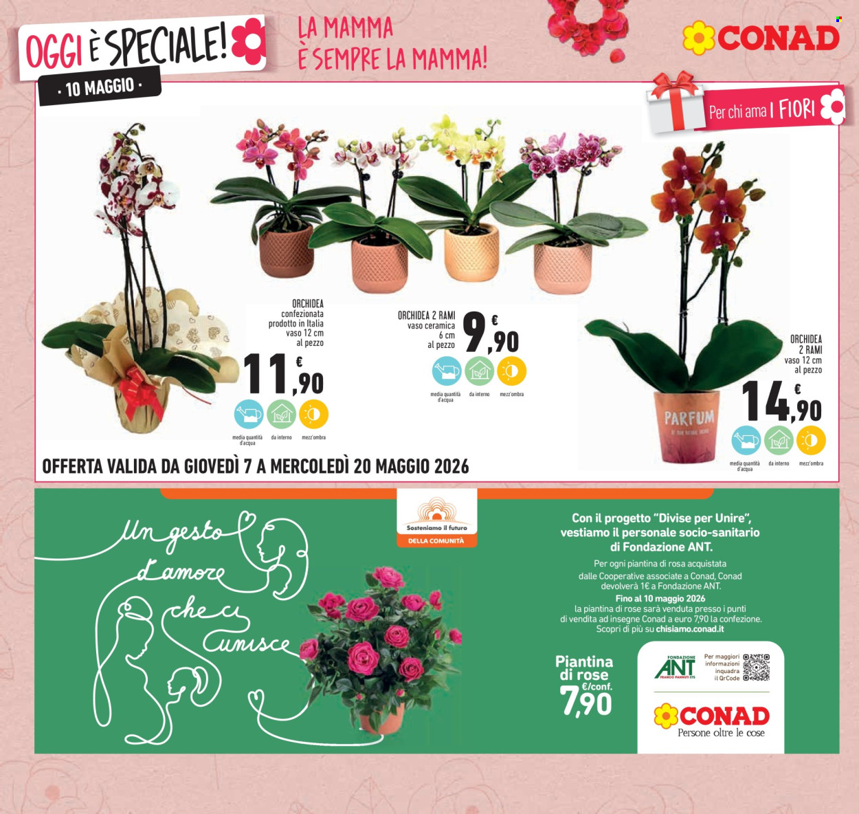 Leták Conad - 7.5.2026 - 20.5.2026. Strana 10