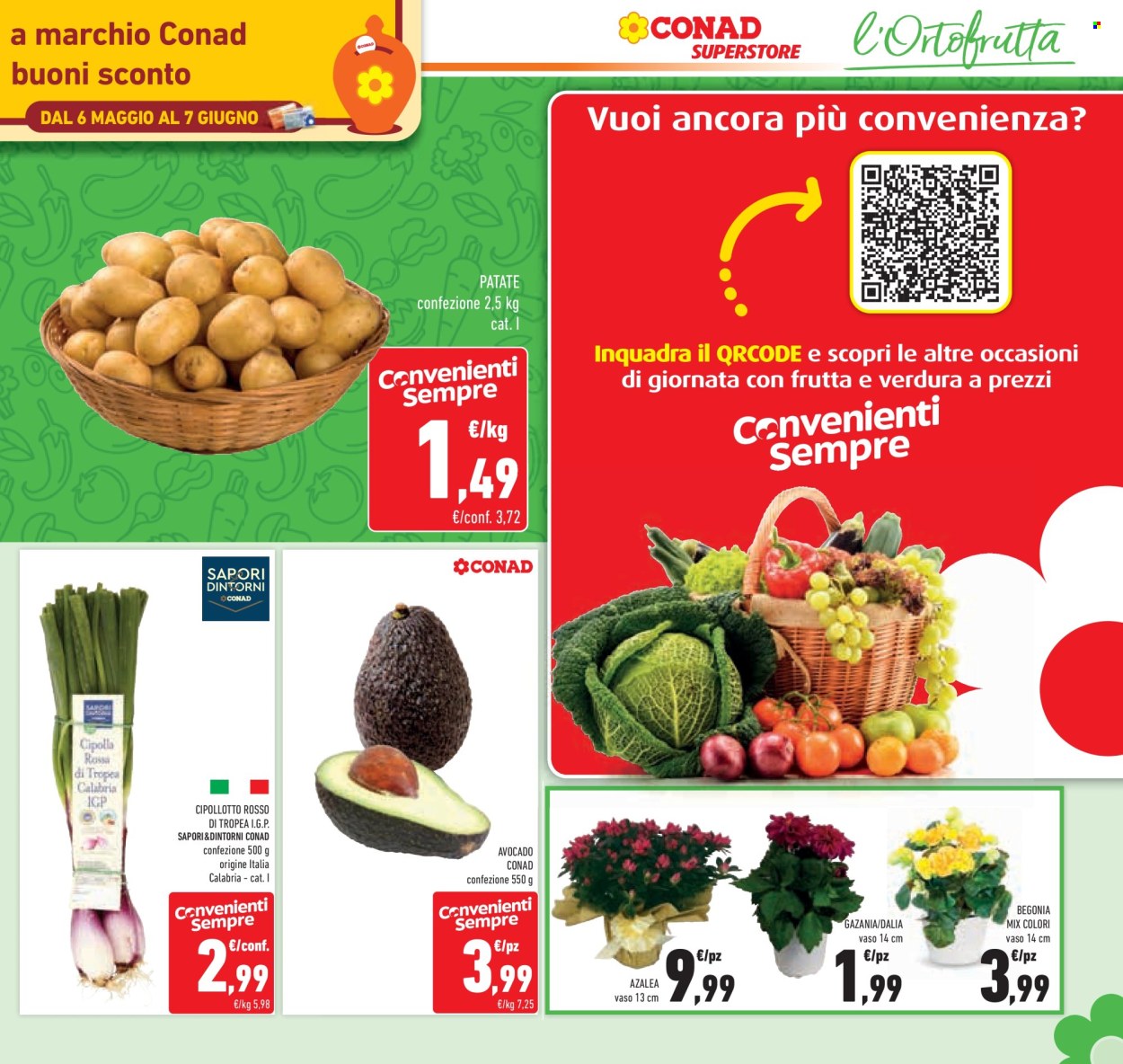 Leták Conad Superstore - 6.5.2026 - 19.5.2026. Strana 11
