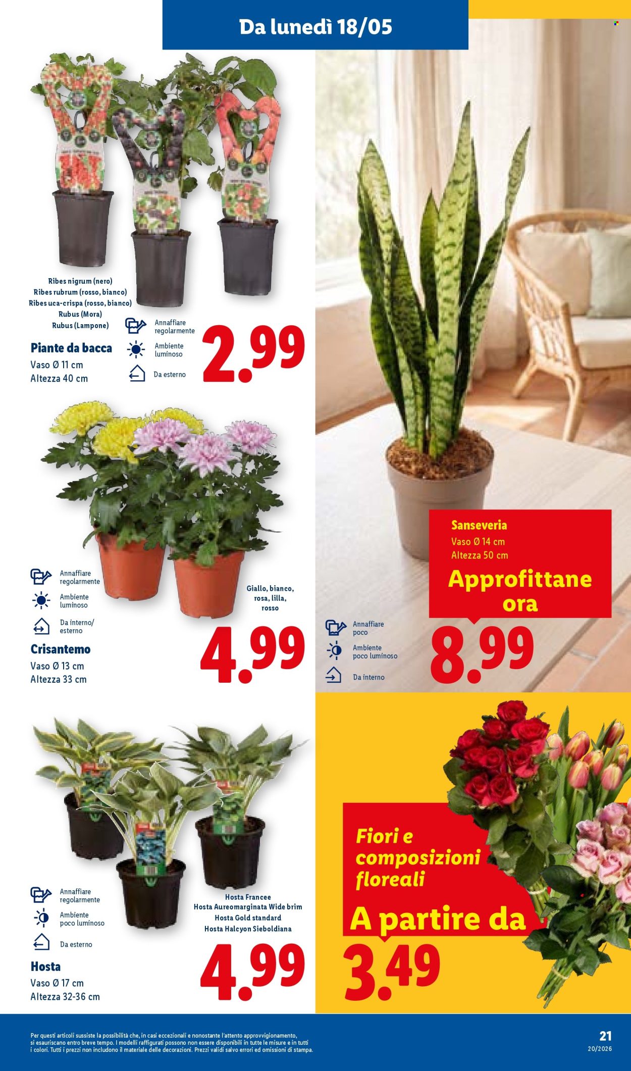 Volantino Lidl - 14/5/2026 - 20/5/2026. Pagina 29