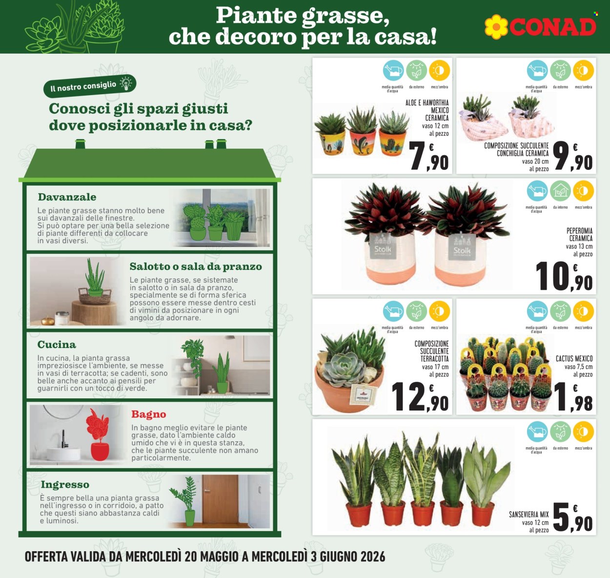 Leták Conad - 20.5.2026 - 3.6.2026. Strana 22