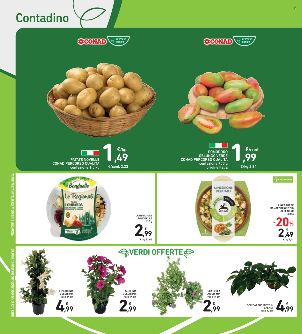 Volantino Spazio Conad - 15/5/2026 - 28/5/2026. Pagina 14
