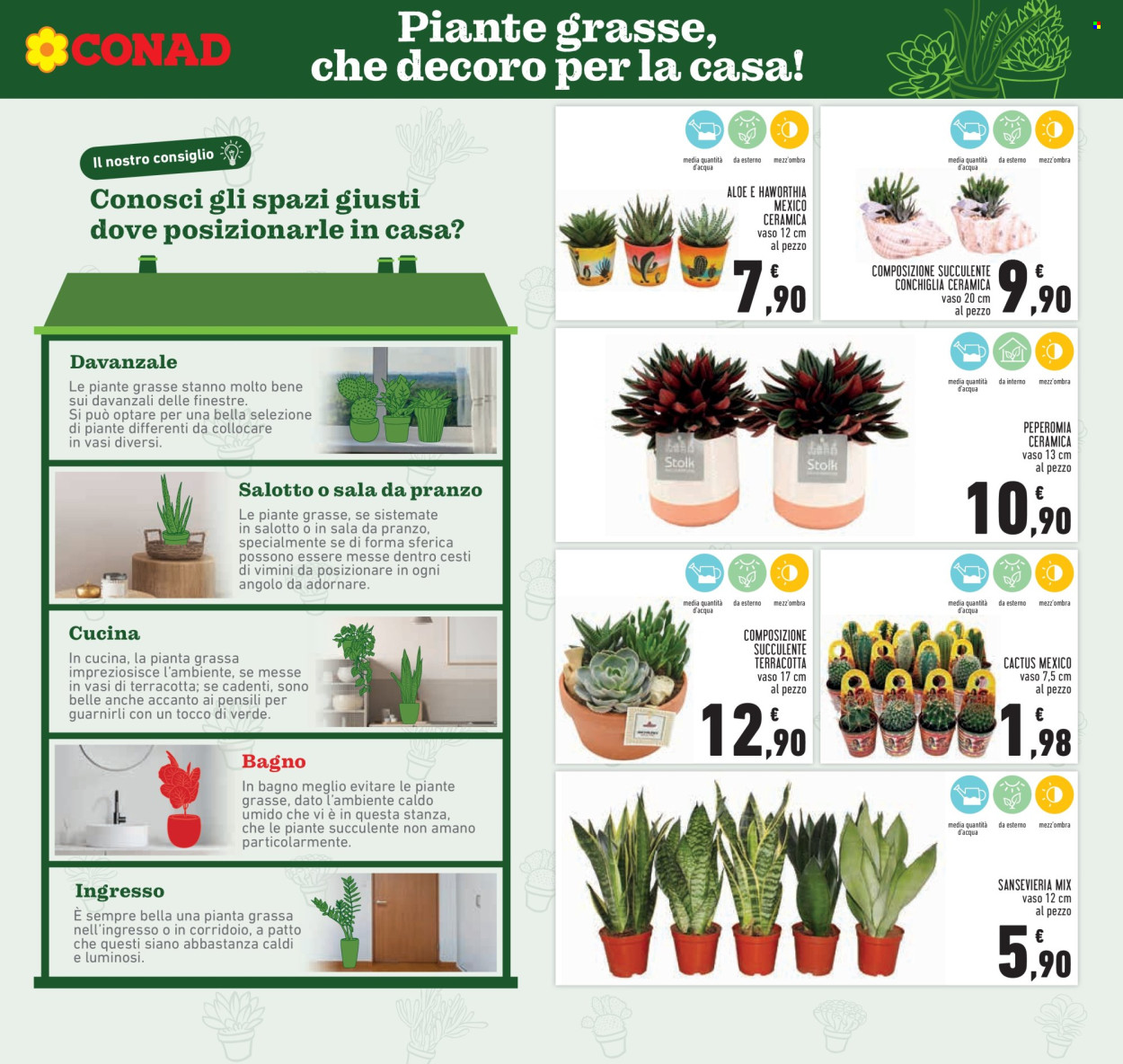 Leták Conad - 21.5.2026 - 3.6.2026. Strana 19