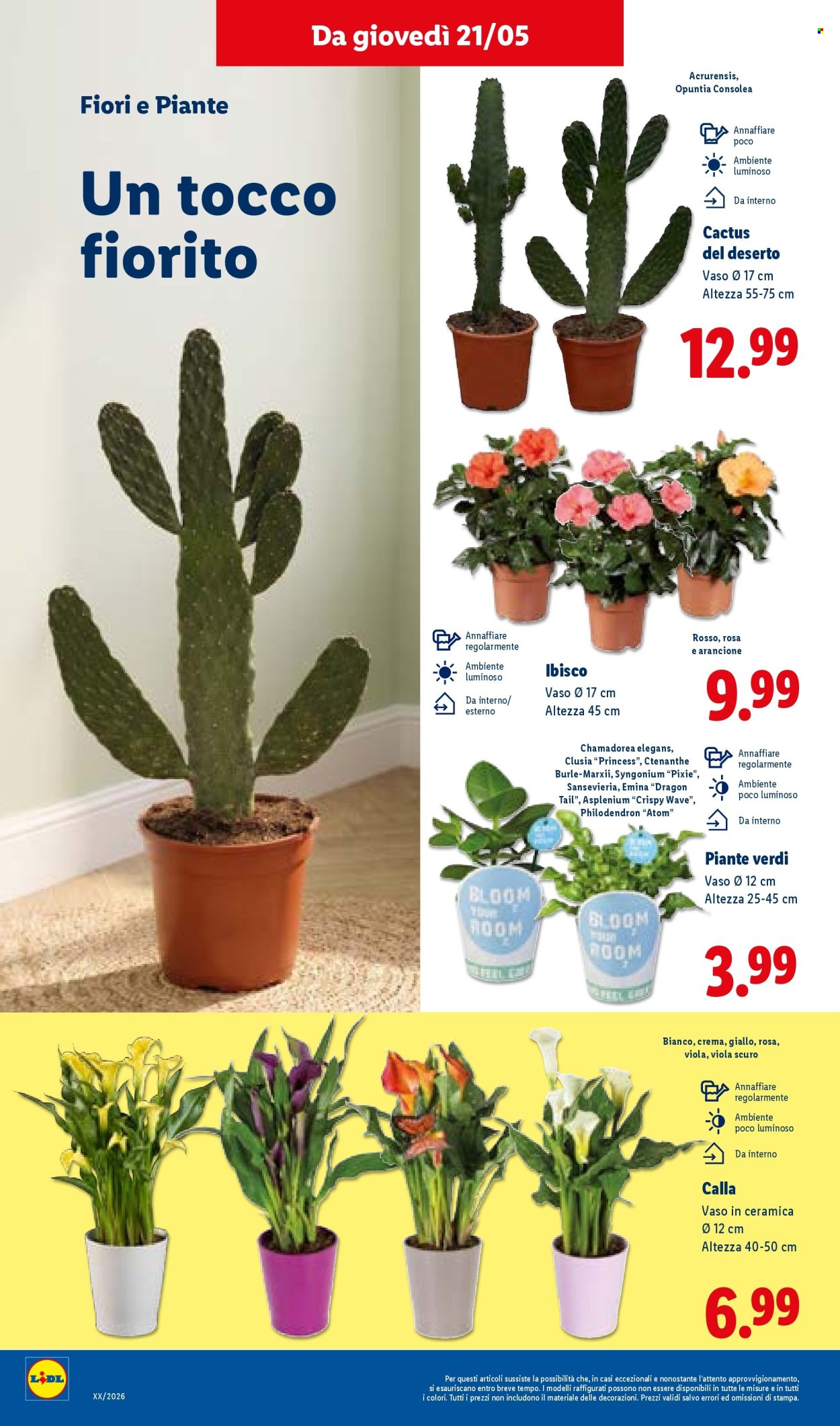 Leták Lidl - 21.5.2026 - 27.5.2026. Strana 36
