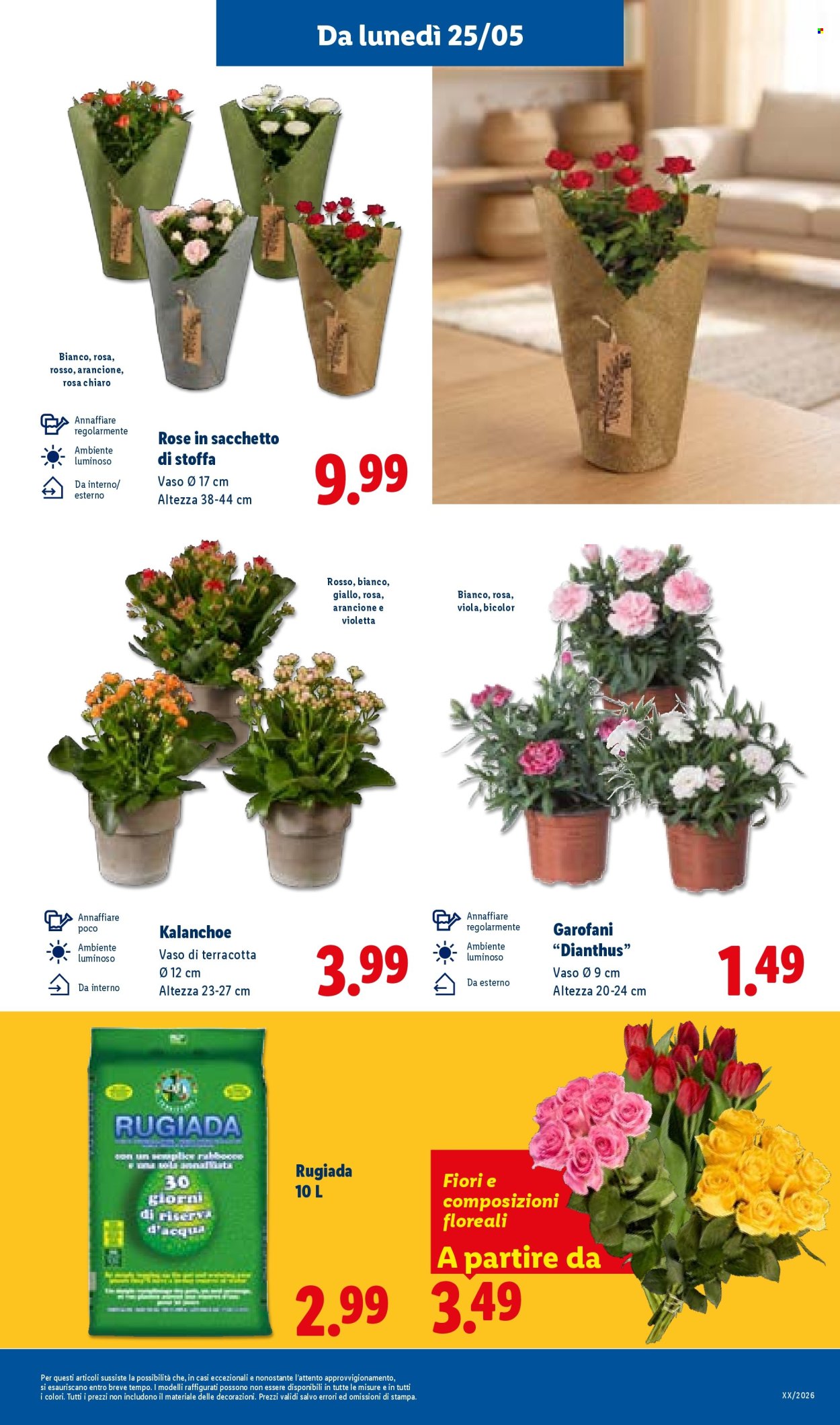 Leták Lidl - 21.5.2026 - 27.5.2026. Strana 37