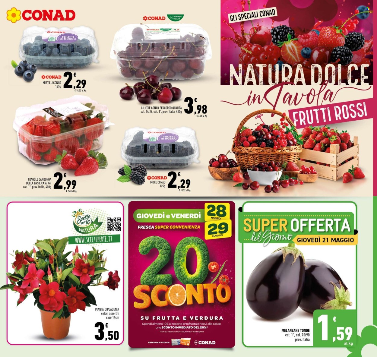 Leták Conad - 20.5.2026 - 31.5.2026. Strana 3