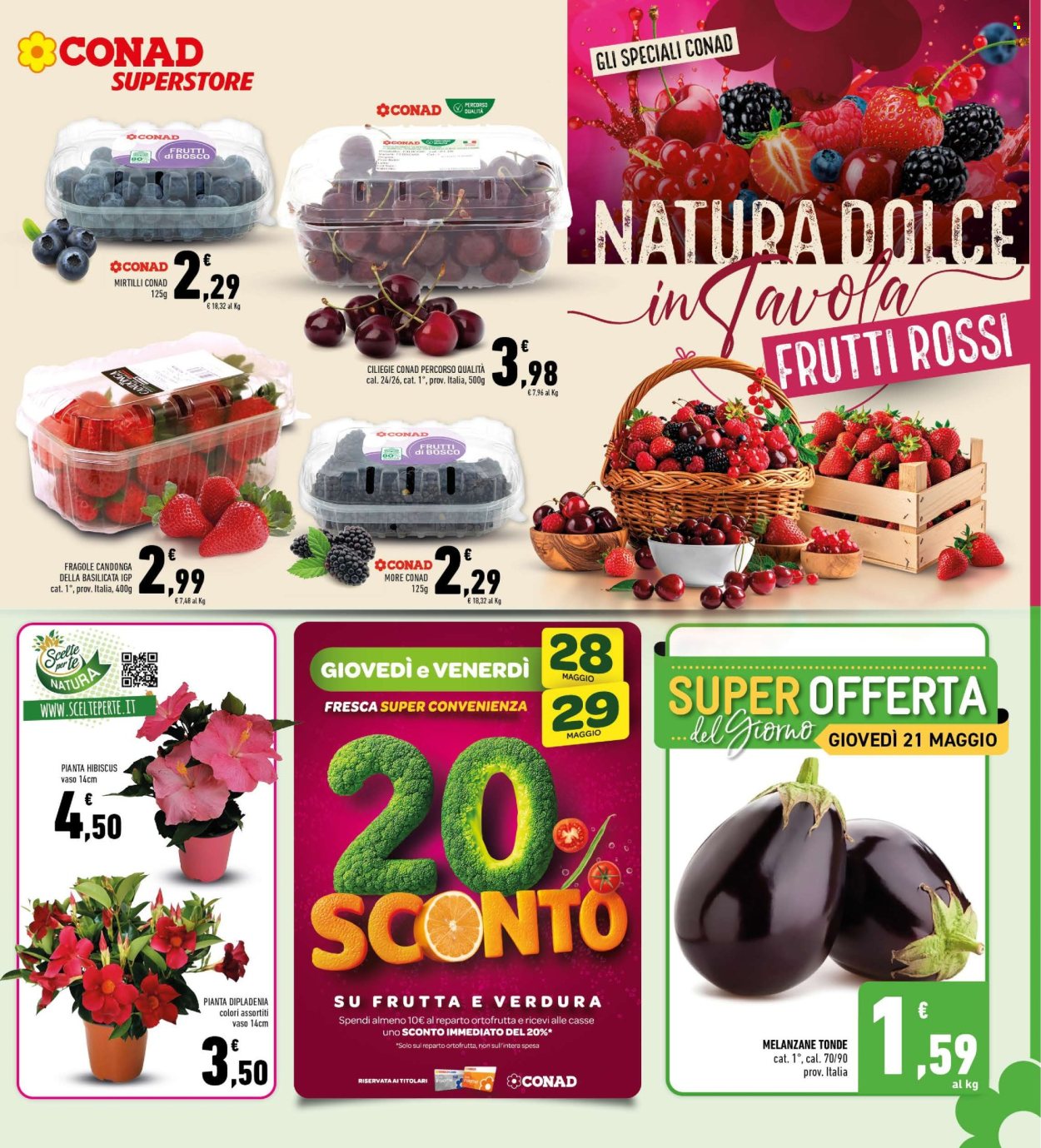 Leták Conad Superstore - 20.5.2026 - 31.5.2026. Strana 5