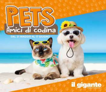 Volantino Il Gigante - 21/5/2026 - 17/6/2026.