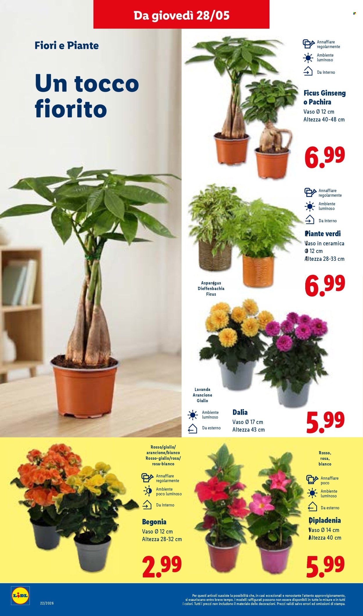 Leták Lidl - 28.5.2026 - 3.6.2026. Strana 34