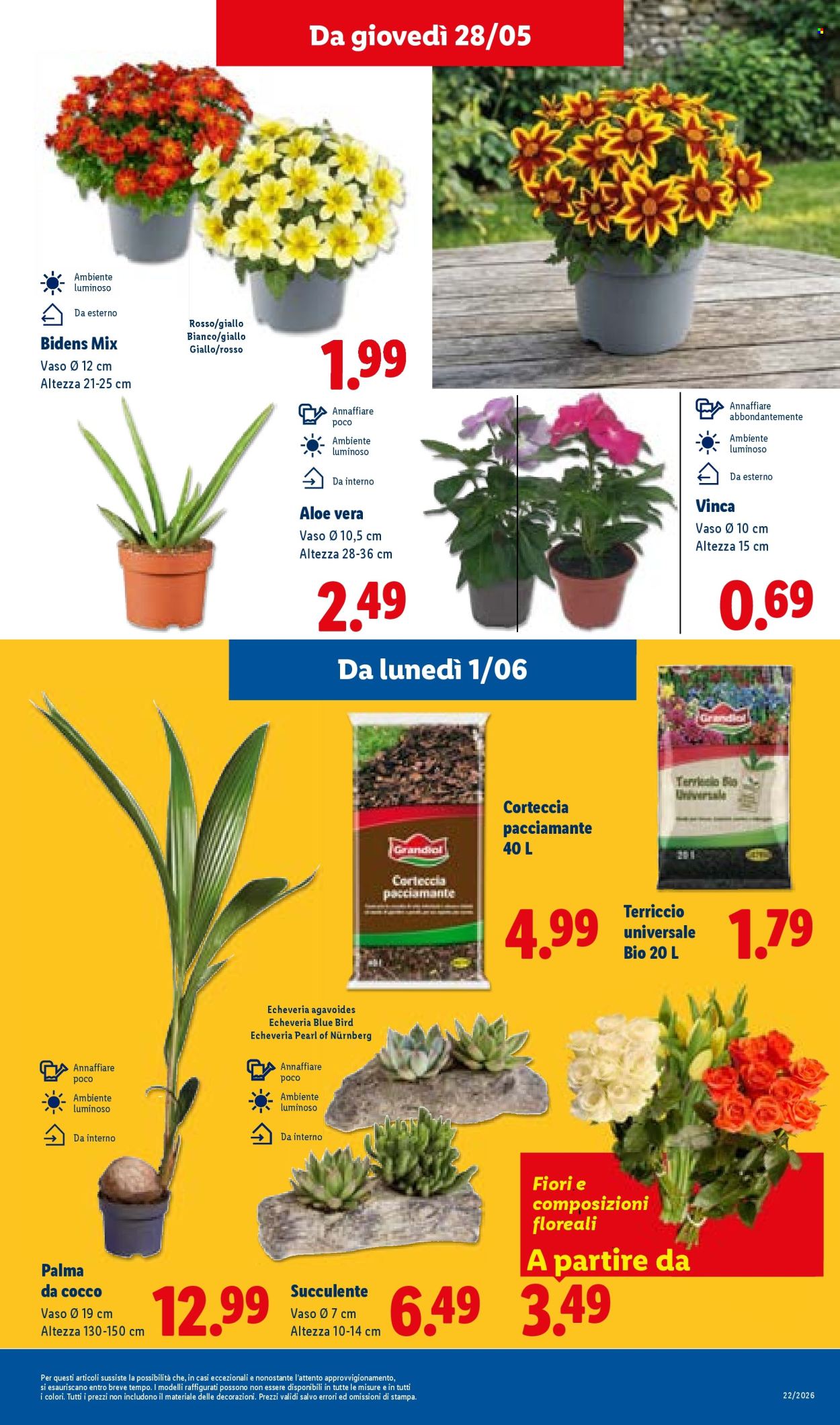 Leták Lidl - 28.5.2026 - 3.6.2026. Strana 35