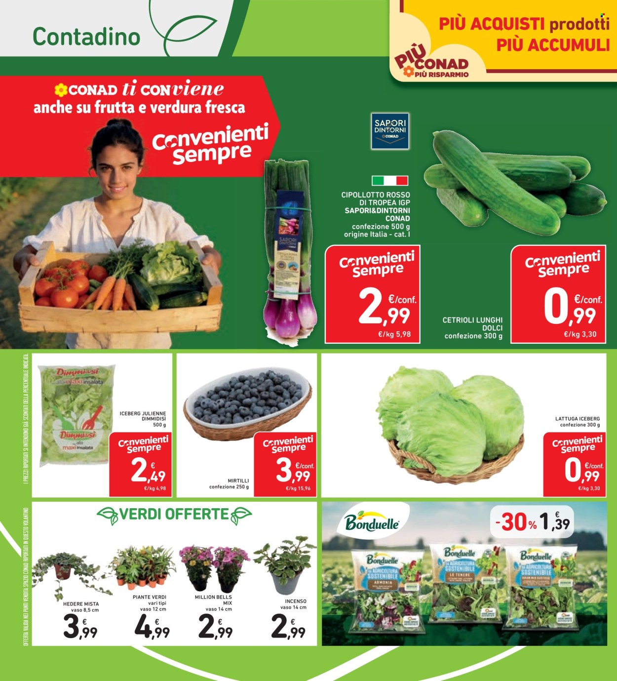 Leták Spazio Conad - 29.5.2026 - 11.6.2026. Strana 24