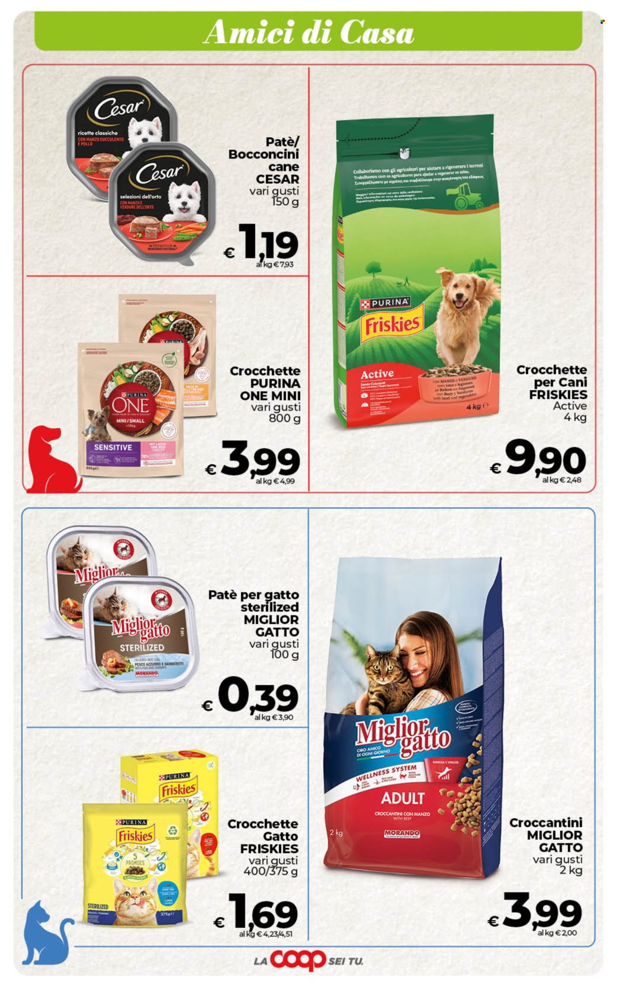 Volantino Coop - 29/5/2026 - 8/6/2026. Pagina 43