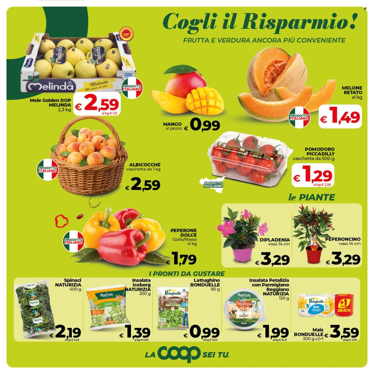 Volantino Coop - 29/5/2026 - 8/6/2026. Pagina 13
