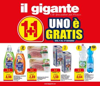 Volantino Il Gigante - 4/6/2026 - 17/6/2026.
